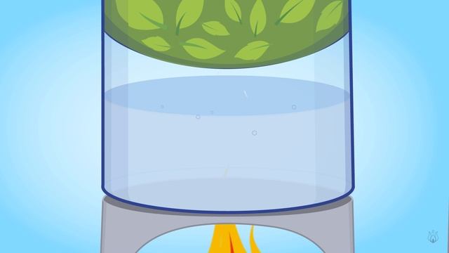 How Steam Distillation Works смотреть онлайн