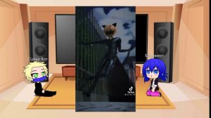 Реакция Супер Кота и  Маринетт на шип МАРИКОТ