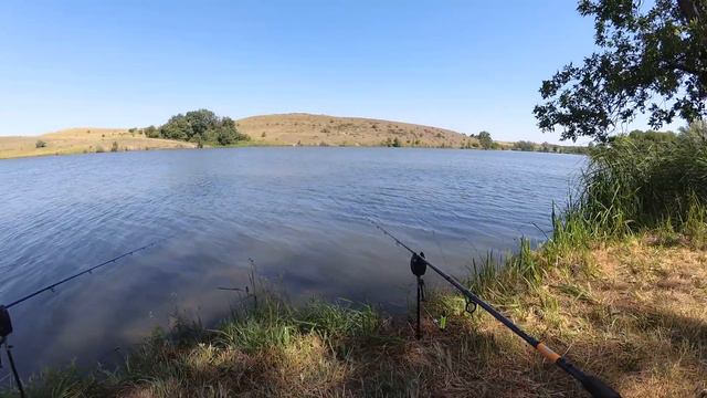 Рыбалка на ПРУЖИНУ.Много поклёвок и одна ПЛОТВА смотреть онлайн