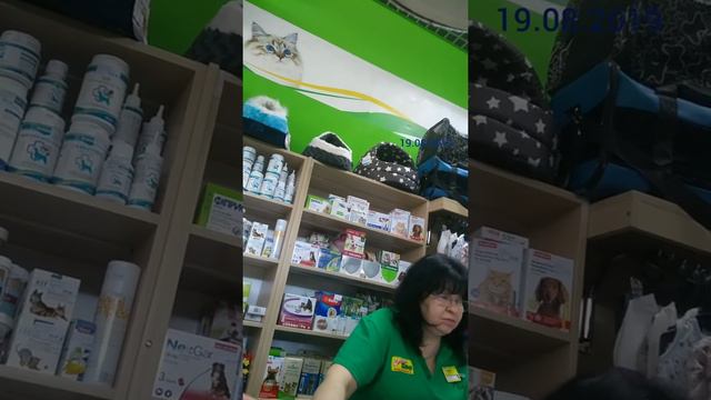 Зашел в зоомагазин смотреть онлайн