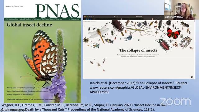 April Green Drinks: How To Plant Butterfly Gardens And Establish Pollinator Sanctuaries