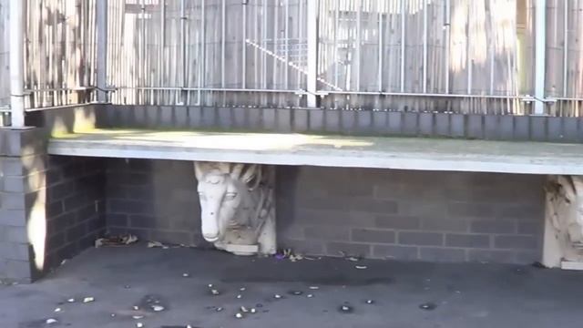 The Goats on a bridge. смотреть онлайн