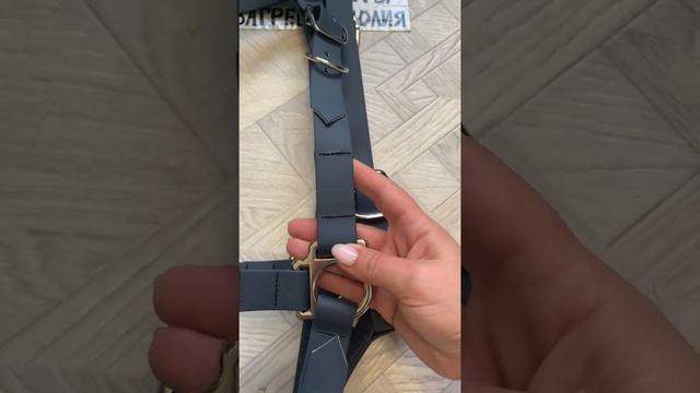 Уздечка из биотана смотреть онлайн