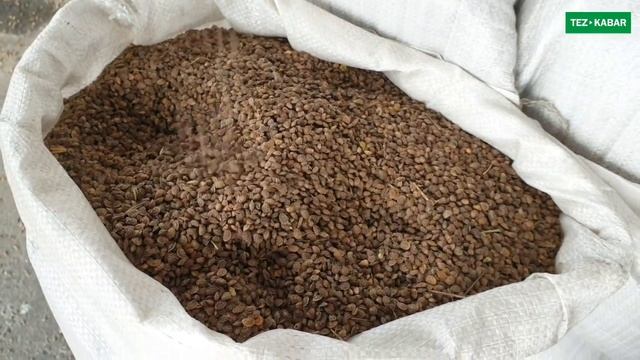 БЕДЕ урук, АРПА урук, ЭКСПАРЦЕТ урук САТЫЛАТ  |  Гарантия ЖАКШЫ УРУКТАР