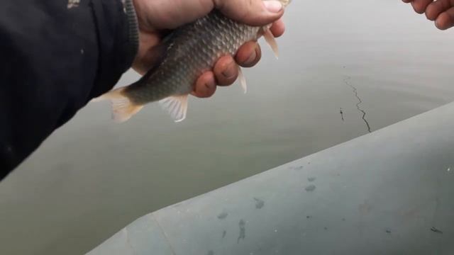 Большой Кызыкуль.Весна 2019. смотреть онлайн