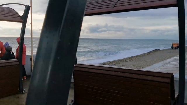 ? Сочи (Адлер) сегодня 21.12.2020г Казачий рынок цены Имеретинки Переехали в Сочи из Сибири смотреть онлайн