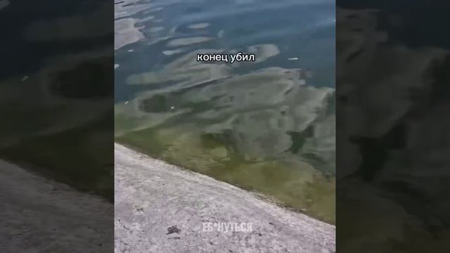 Конец убил. смотреть онлайн