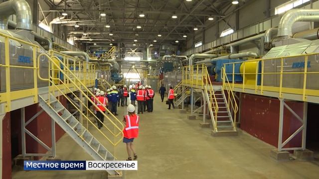 Сегодня в России отмечается День работников леса смотреть онлайн