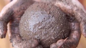 КАК СДЕЛАТЬ ДОРОДАНГО, ЗЕМЛЯНЫЕ ШАРЫ