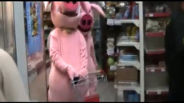 Ярославские Хрюши, 