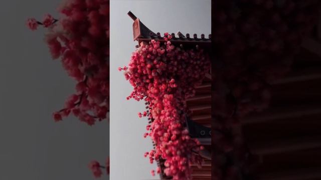 SAKURA| весна 2024| коллекция
