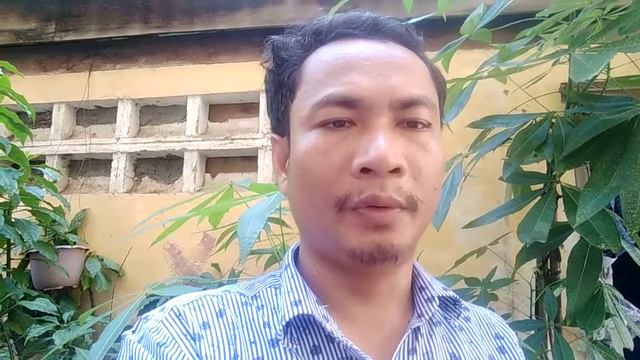 English Tense in Past- past simple, past Progressive, past perfect, past perfect progressive, p37 смотреть онлайн