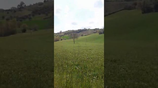 Апрель. Мачерата смотреть онлайн