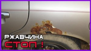 РЖАВЧИНА чем ЭФФЕКТИВНЕЕ обработать  Какие грунты применить