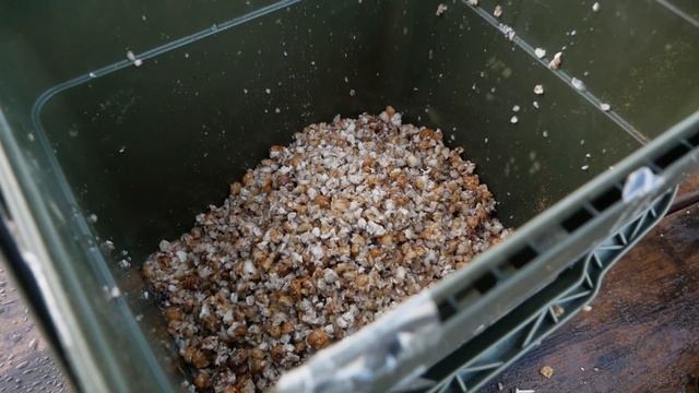 ОТКРЫТИЕ СЕЗОНА ПО ЛОВЛЕ КАРПА 2020. Галилейский карп. Часть 1 смотреть онлайн