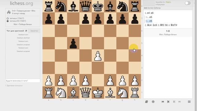 Обзор личесс и скайп