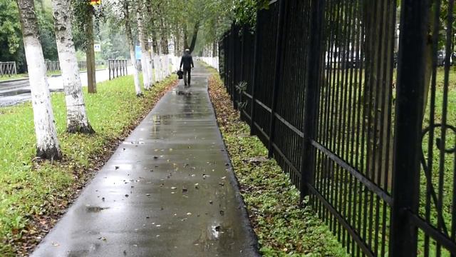 МУЖЧИНА, УХОДЯЩИЙ ВДАЛЬ Футаж смотреть онлайн