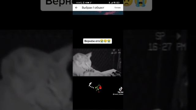туторила на геймпасс подробно! #подпишись#роблокс#актив#создатьгеймпасс#квинкаслоумо //Roblox #рекп смотреть онлайн