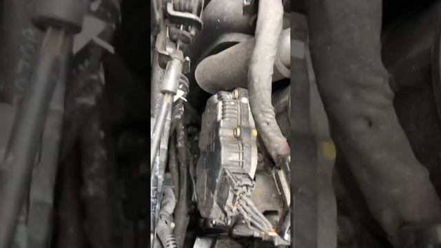 Kia Pikanto all New 2018 Números de chasis y motor para improntas. смотреть онлайн