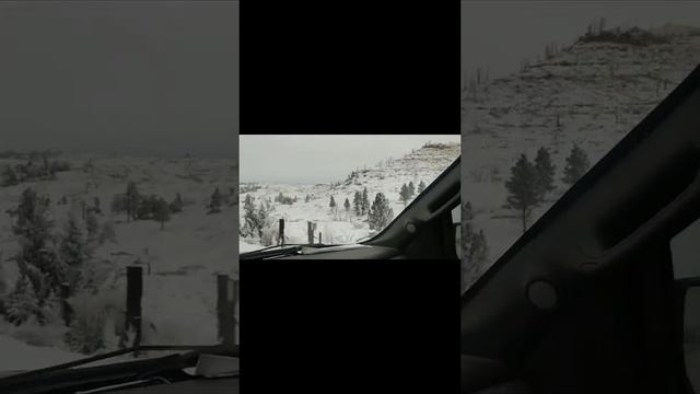 late day cruise after Christmas смотреть онлайн