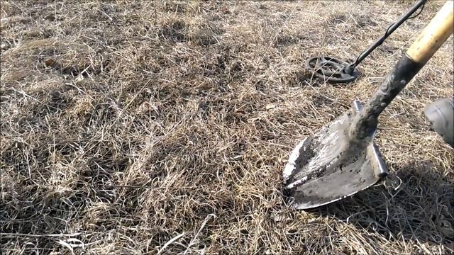 Нашел петровские монеты. Коп монет смотреть онлайн