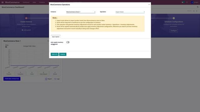 Import Stock from WooCommerce | Odoo WooCommerce Connector смотреть онлайн