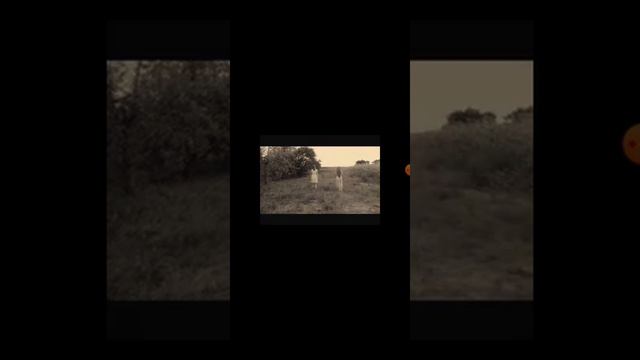 Тили тили бом песня. Не смотрите слабонервнные пожалуйста! смотреть онлайн