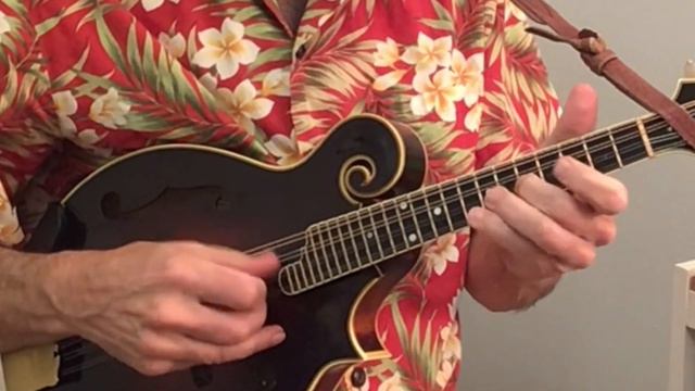 Let It Be Me–Mandolin смотреть онлайн