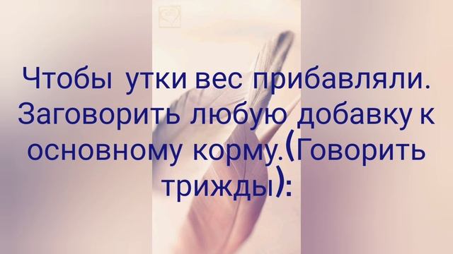 Подворье. Часть 2. Заговоры в помощь птицеводам. смотреть онлайн
