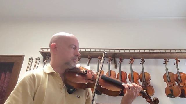 Amber Strings. Violin At The Violin Shoppe In Charlotte