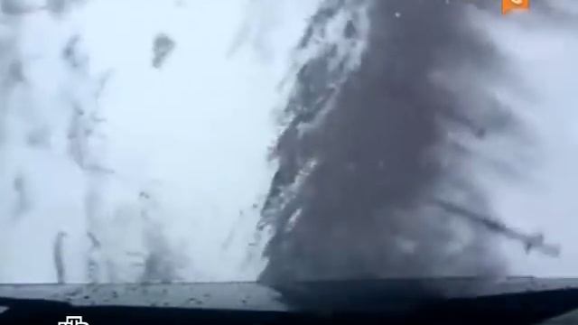 Опасные пешеходы смотреть онлайн