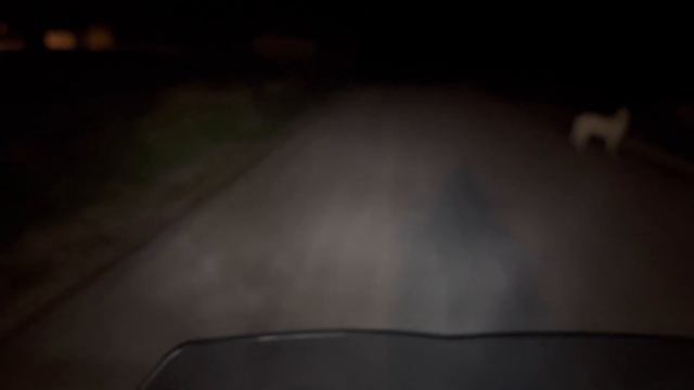 Hella Black Magic 6000 Lumen 80 Watt Sis Farlarının Gece Testi