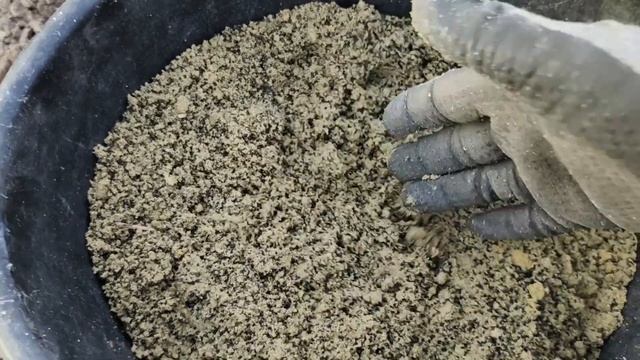 Как посеять люцерну вручную дедовский методом Посев люцерны люцерна выращивание @zhyttya_v_seli смотреть онлайн