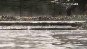 Как это сделано? (Из чего это сделано?) – Васаби ?