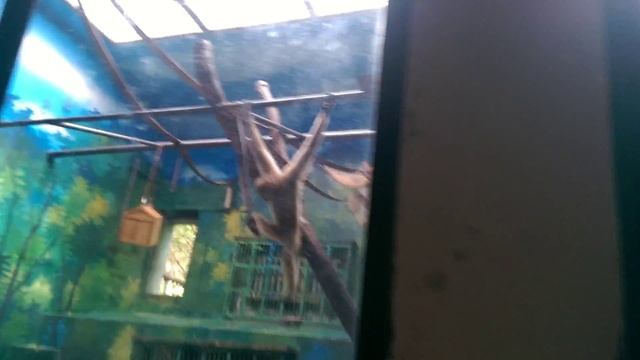 Пекинский зоопарк 24 смотреть онлайн