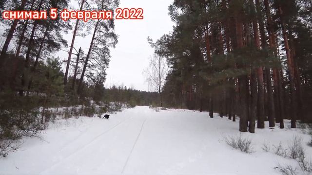 Беларусь, учебка Печи! в\ч 43064, С Днём рождения Бауржан Кусаинов! смотреть онлайн