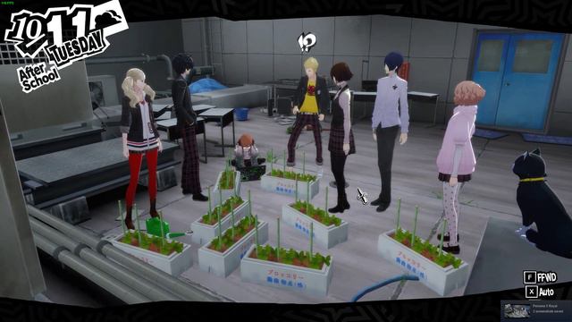 Persona 5 Royal - PC - Steam- Haru Celebration смотреть онлайн
