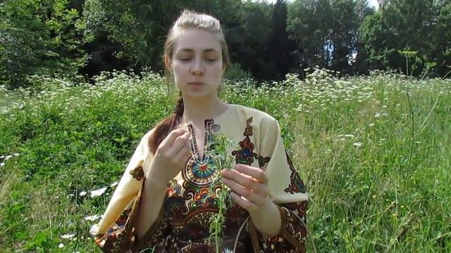 Сбор ромашки лекарственной. Жизнь в Слободе смотреть онлайн