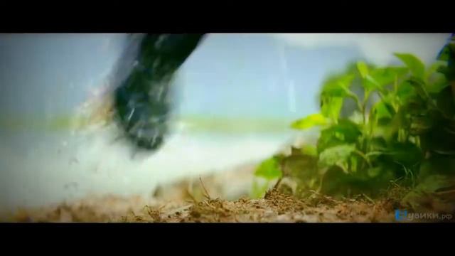 Копія відео "Конг вырывает язык черепозавру — «Конг Остров черепа» 2017 сцена 8 8 HD" смотреть онлайн