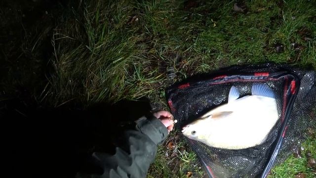 Рыбалка в ноябре с ночевкой. Большой Лещ на чеснок. Fishing смотреть онлайн