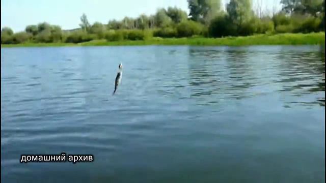 Рыбалка на озёрах - Russian fishing смотреть онлайн