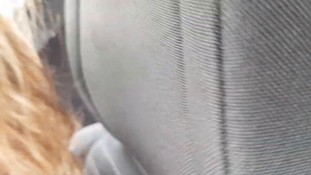 ЕДЕМ ДАЛЬШЕ. дорога в Аланию 31 смотреть онлайн