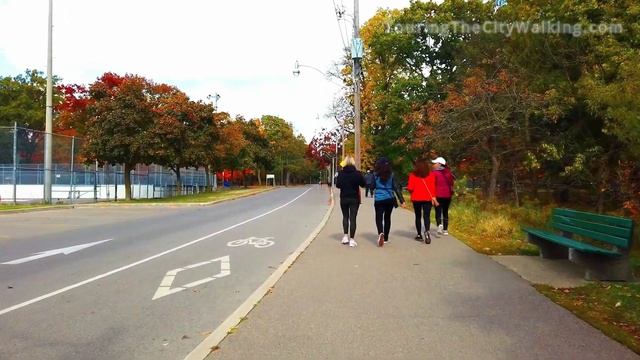 High Park Toronto Oct 2020 | Fall Foliage | Autumn In High Park Toronto ON | Touring Toronto