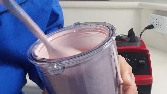 Vitamix E320 Explorian Blender from Costco Review | Watch This Before You Buy! смотреть онлайн