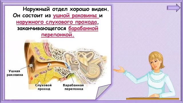Почему звенит звонок? #1класс #окружающиймир #дистанционноеобучение