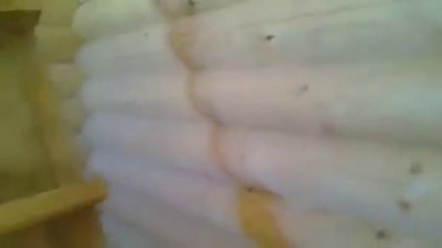 Монтаж скрытой электропроводки в металлорукаве в деревянном доме смотреть онлайн