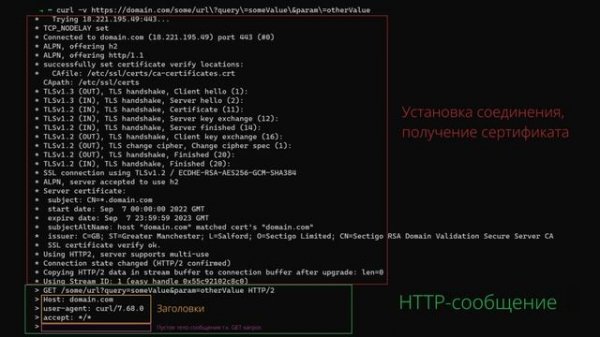 Как работают HTTP-запросы? Чем отличается HTTP / 1.1 от HTTP / 2 и HTTP / 3?