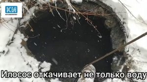 Очистка и откачка выгребной ямы илососом.