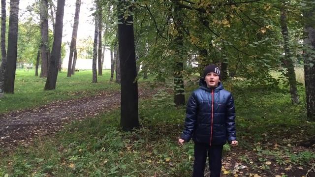 Бунин. "Листопад". смотреть онлайн