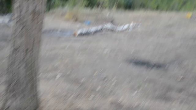 Как сотрудники АЗФ загрязняют природу смотреть онлайн